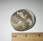 1.5" BEAUTIFUL TUMBLED POLISHED NATURAL OCEAN JASPER PALM STONE MINERAL  71grams — photo 2