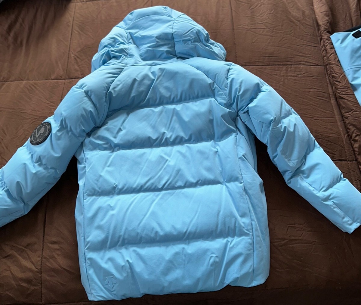 Dior x Descente x Peter Doig Light Blue Puffer Coat Size 48 (Lil 