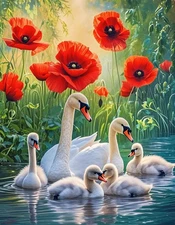 Paint by Numbers for Adults Beginners,Flowers Swans Adult Paint by Number Kits..