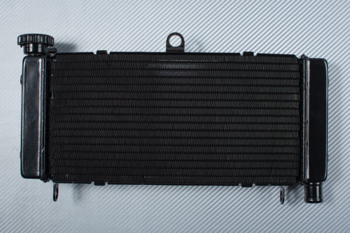 Radiateur CB 600 Hornet PC34 résout la surchauffe moteur 1998-2002