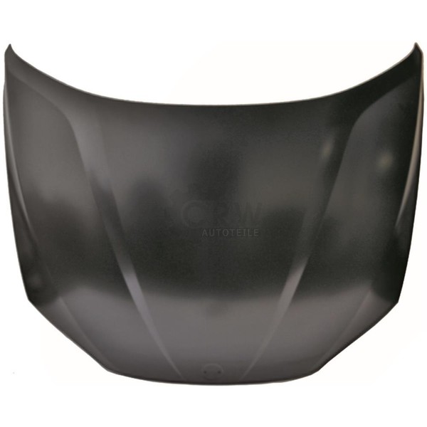 Diederichs Motorhaube Haube Passend FüR BMW X1 E84 1265000-image