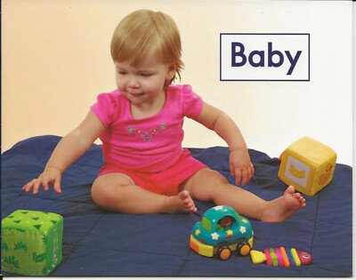 Baby (Leveled Literacy) by Sula Daniel (2009 Fountas & Pinnell) Pre-K to 1st Gr.