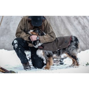 filson dog jacket