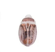 Lalique France Art Glass Beetle Scarabee Meloe Lilas Bronze #11777 Sealed Box