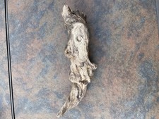 Natural Driftwood for Plants Terrarium Taxidermy Art Projects