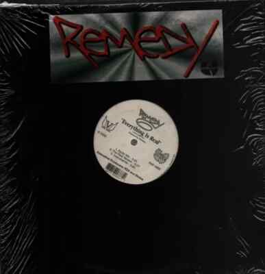 Remedy Seen It All / Everything Is Real Vinyl Single 12inch Fifth Angel Recor