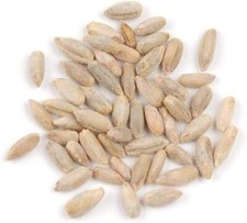 Rye Berries 2 Pounds High in Fiber and Iron - 2 Pound Bag of Rye Berries - M