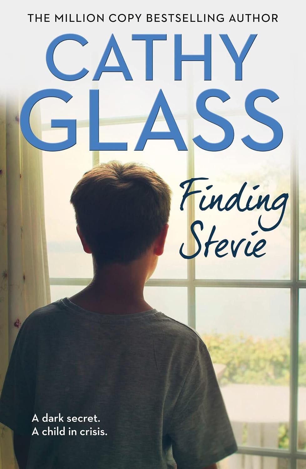 Finding Stevie: A dark secret. A child in crisis. - Image 4