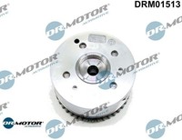 Dr.Motor Automotive DRM01513 Nockenwellenversteller FüR Hyundai FüR Kia