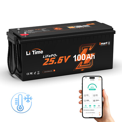LiTime LiFePO4 24V 100Ah Bluetooth Lithium Batterie 100A BMS für Solar RV Boot