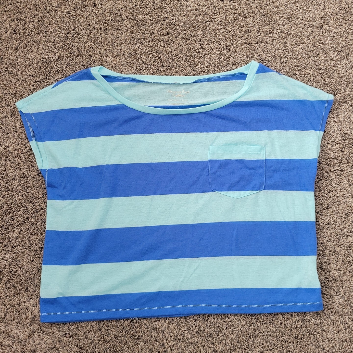 American Eagle Womens Large Blue Striped Feather Light Sleeveless Crop Top
