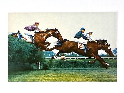 Postcard New Jersey Oceanport NJ Monmouth Park Horse Steeple Chase Jump 1958