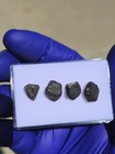 El Menia Meteorite 3.639g | 4 Mini Individuals | 2023 Witnessed Fall | COA — photo 3