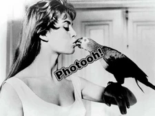 Brigitte Bardot Naughty Girl Celebrity REPRINT RP #9876