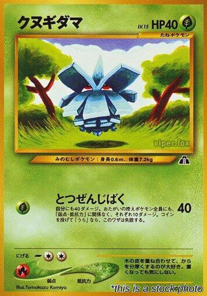 Pineco Crossing the Ruins... #204