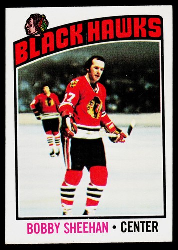 Bobby Sheehan #183 1976 Topps card