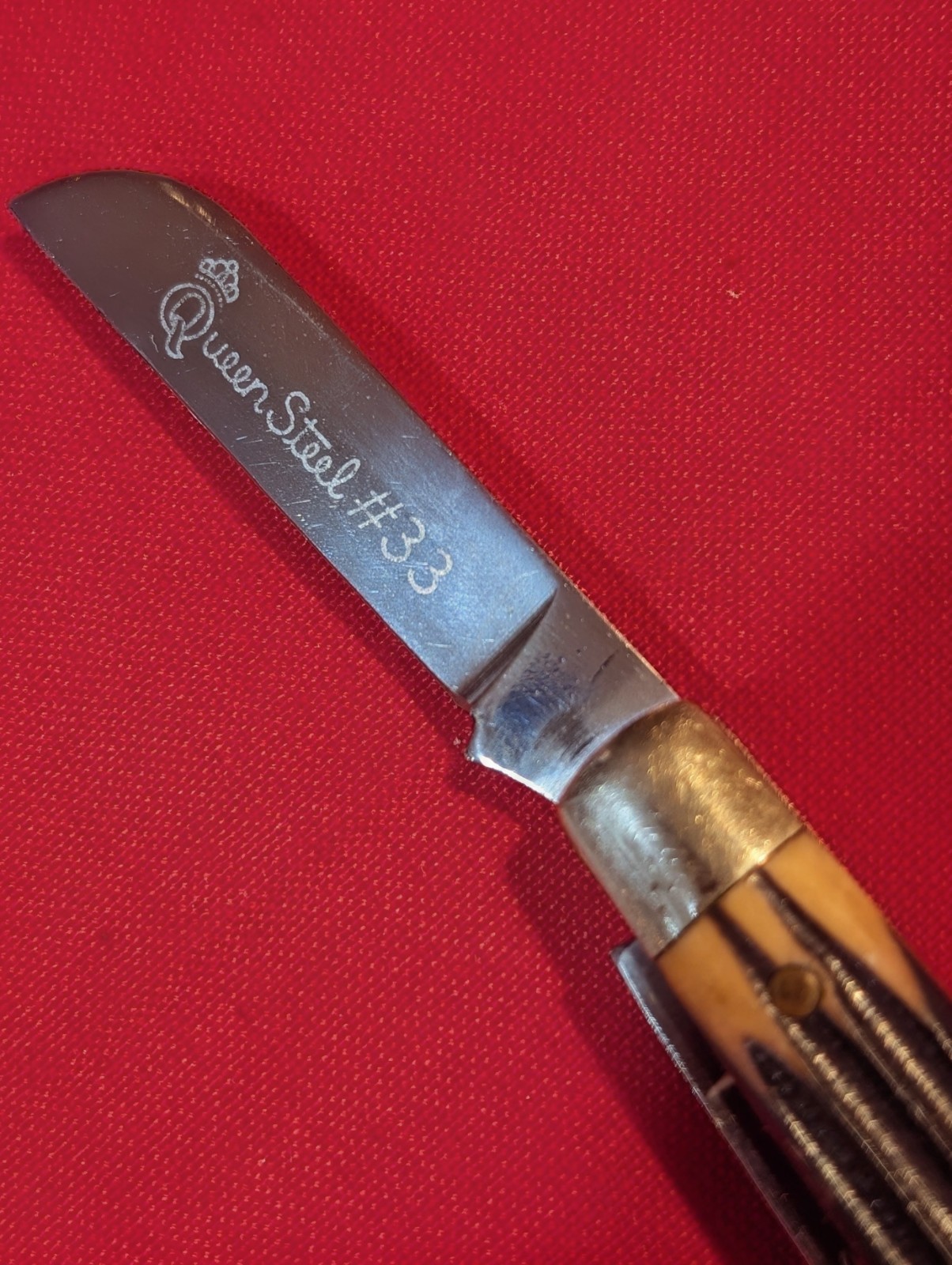 Queen Pocket Knife (1961). Congress 4 Blade. Winterbottom Bone. Pristine!
