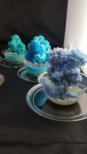 2X Crystal growing kits Fun, Easy and Educational Home School Project Zen 