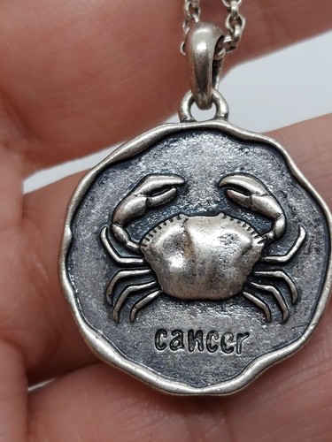 Lucky Brand Cancer Crab Horoscope Constellation Silver Tone Necklace Pendant - 第 7/9 張圖片