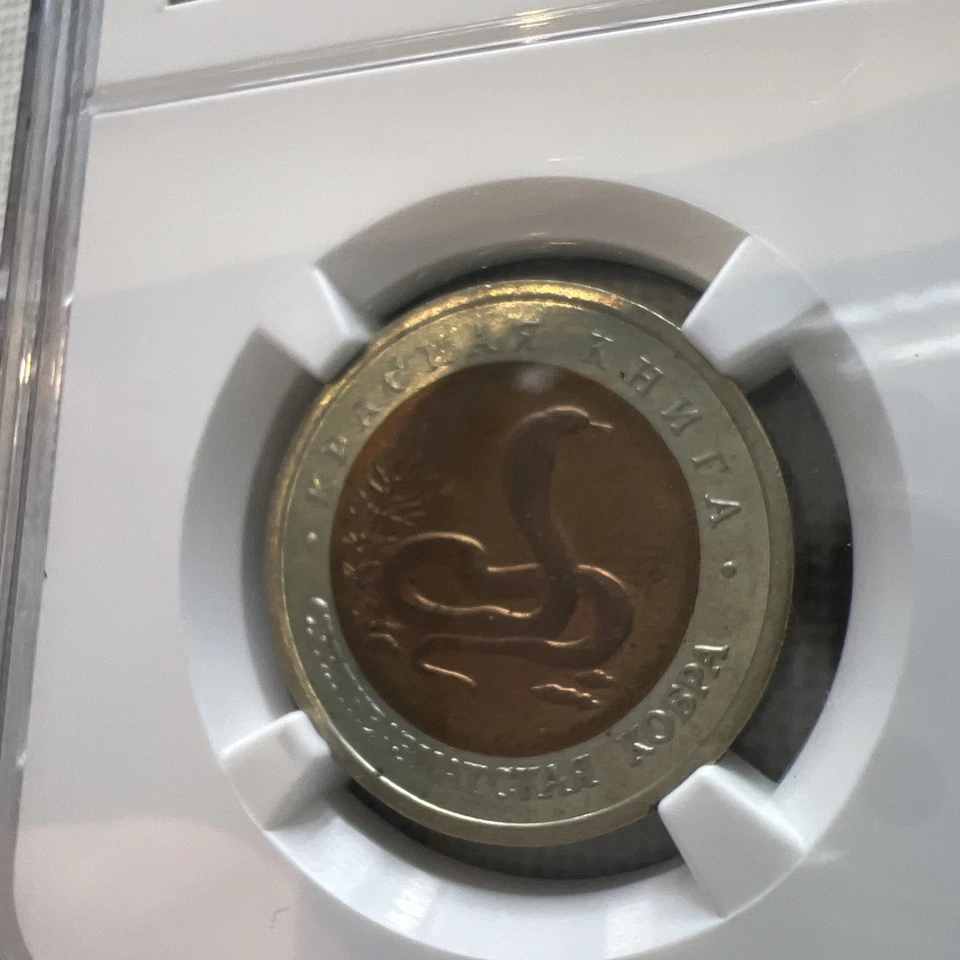 Russia 1992 Bi-Metallic 10 Roubles NGC MS63 Wildlife - Asian Cobra - Image 3 of 4