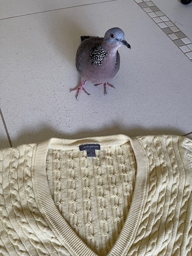 Ann Taylor Lt. Yellow Summer Sweater L EUC - Picture 6 of 6