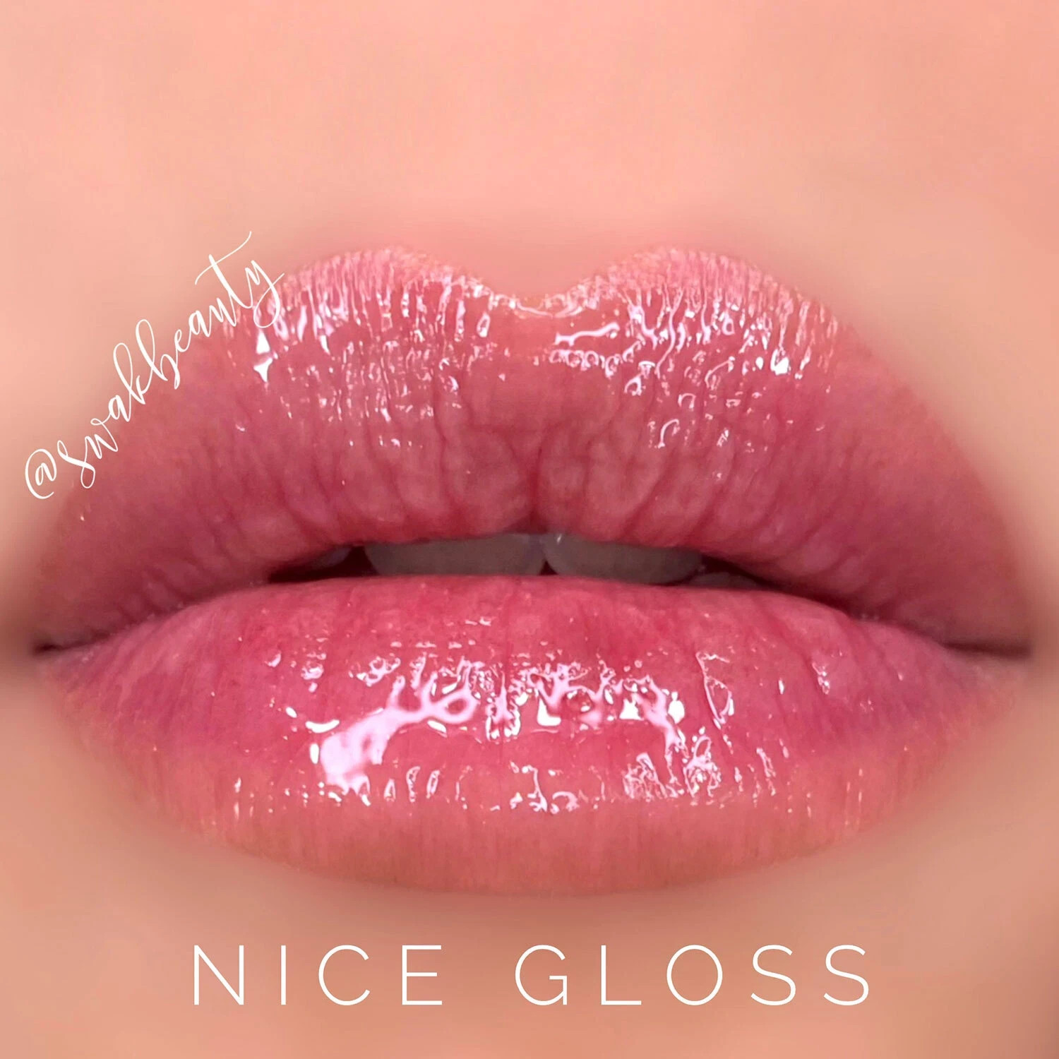 NICE GLOSS  *MINI .11OZ