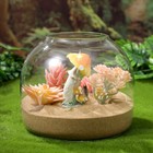 Foto 10 di 11