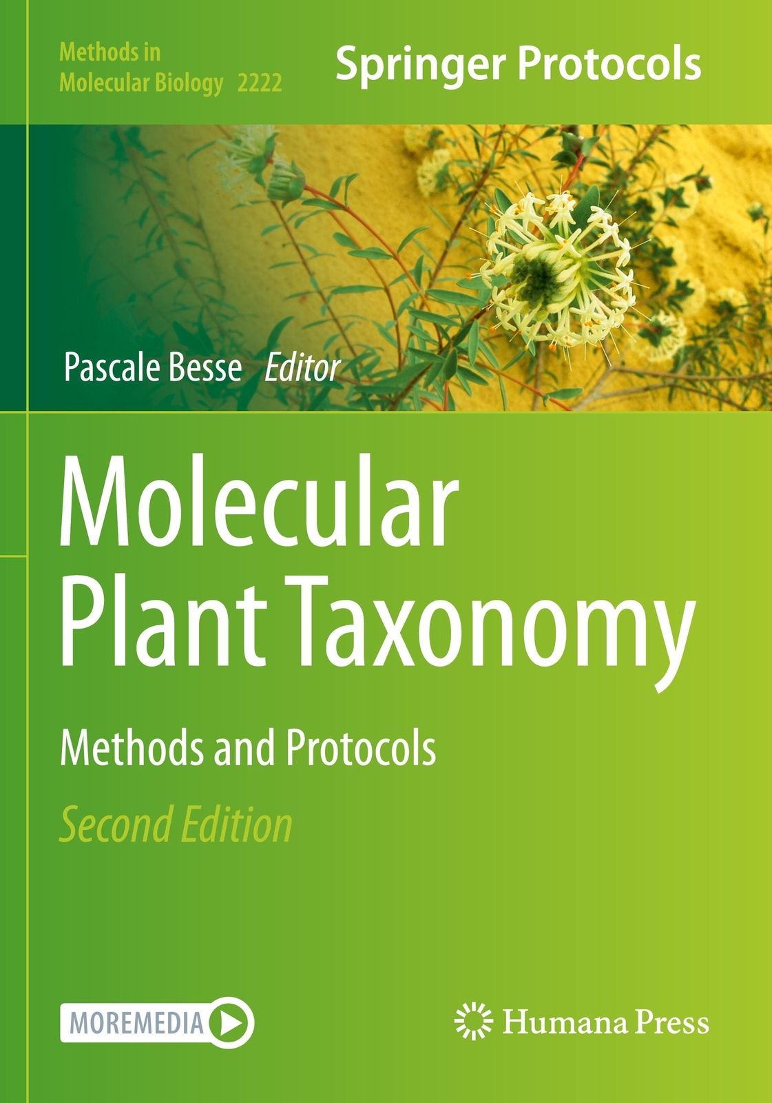 Thumbnail - Pascale Besse | Molecular Plant Taxonomy | Taschenbuch | Englisch
