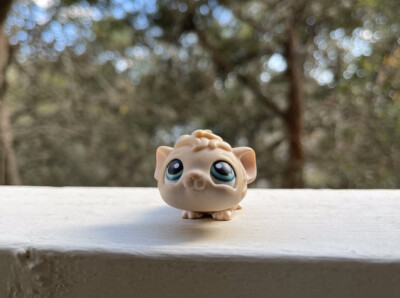 hape pepe pull along