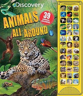Discovery: Animals All Around - Board book, by Acampora Courtney - Very Good