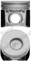 NÜRal Kolben FüR Peugeot Boxer Kasten 244 2.8 Hdi 230L Zct_ Iveco Daily III