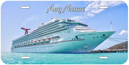 Placa de matrícula de coche novedad personalizada de crucero de carnaval con cualquier nombre - Imagen 29 de 63