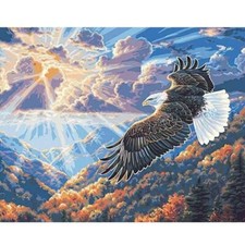 Paint By Numbers Adults kids Eagle Animals DIY Painting Kit 40x50CM Canvas