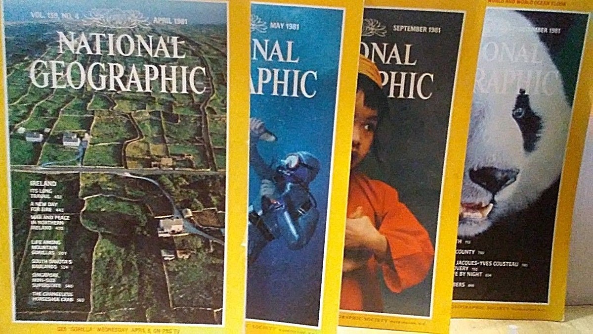 1981 NATIONAL GEOGRAPHIC MAGAZINES 7 ISSUES ALL DIFFERENT
