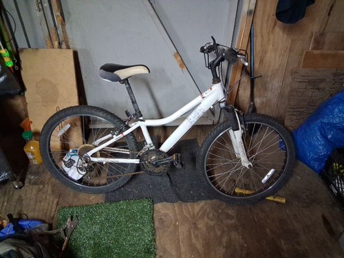 Diamondback Mountain Bike