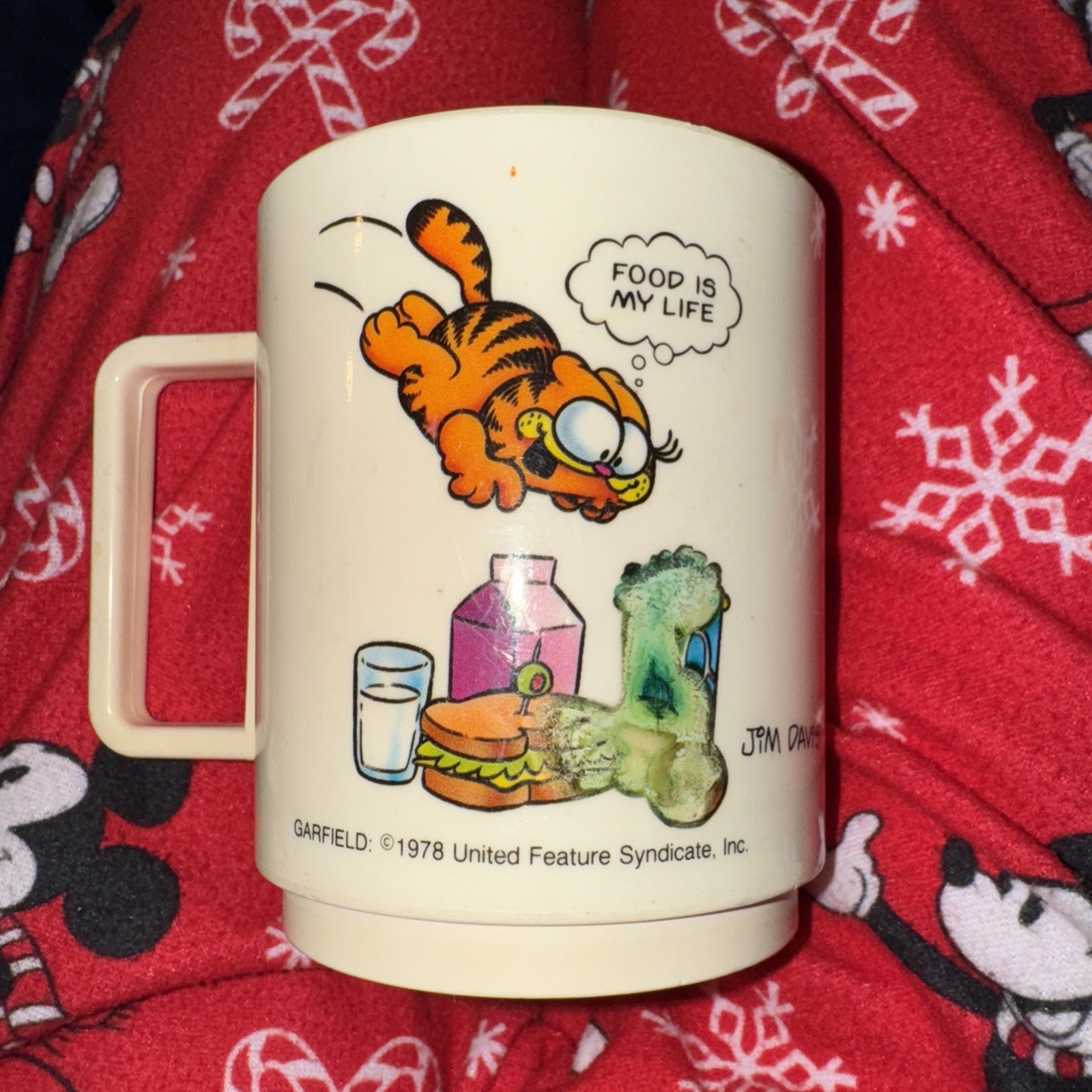 Vintage 1978 Jim Davis Garfield "FOOD IS MY LIFE" Cup Made in USA Deka Plastics