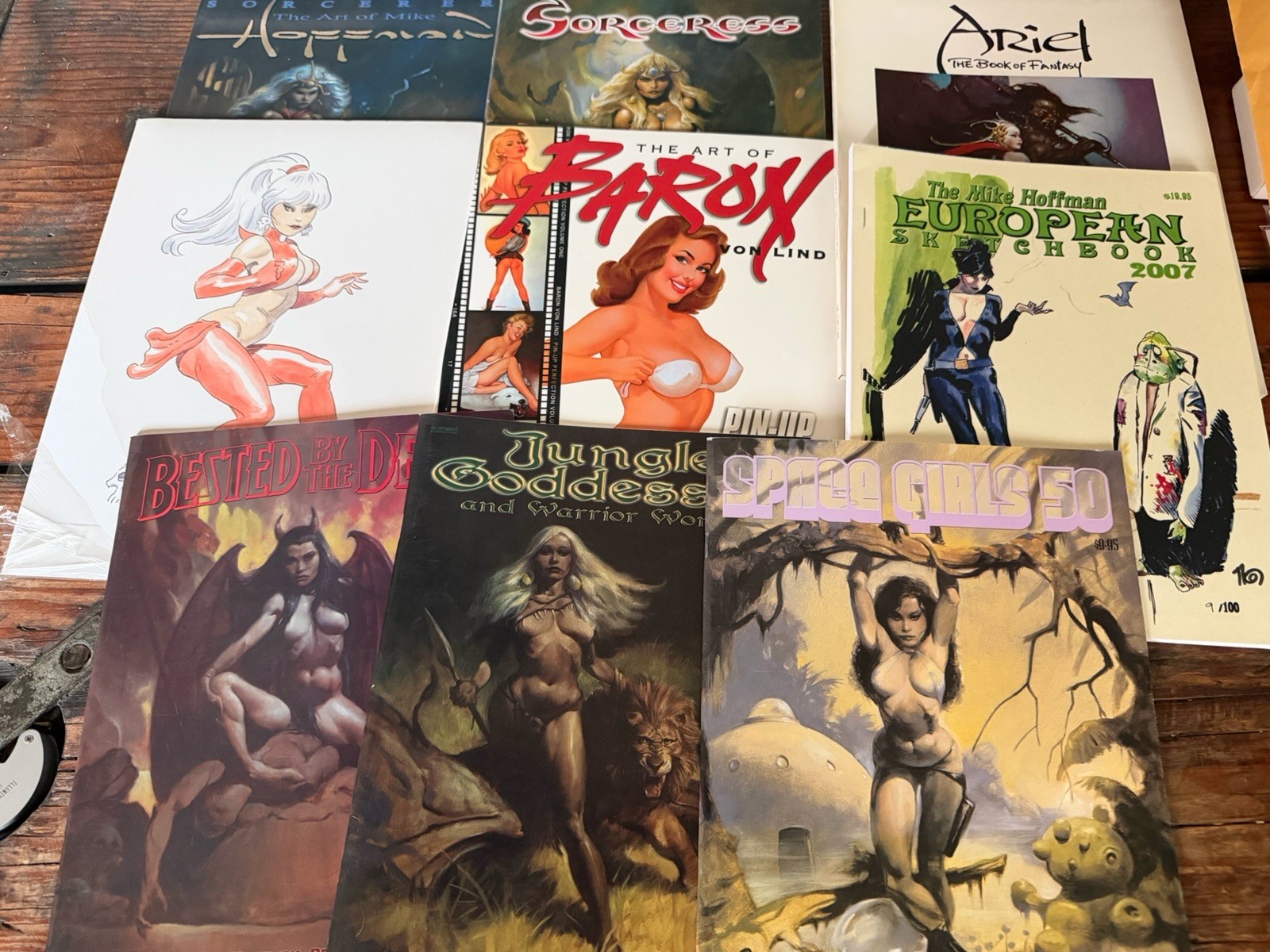 Lot of Mike Hoffman + Fantasy Art Books Sorcerers Space Girls Sorceress +
