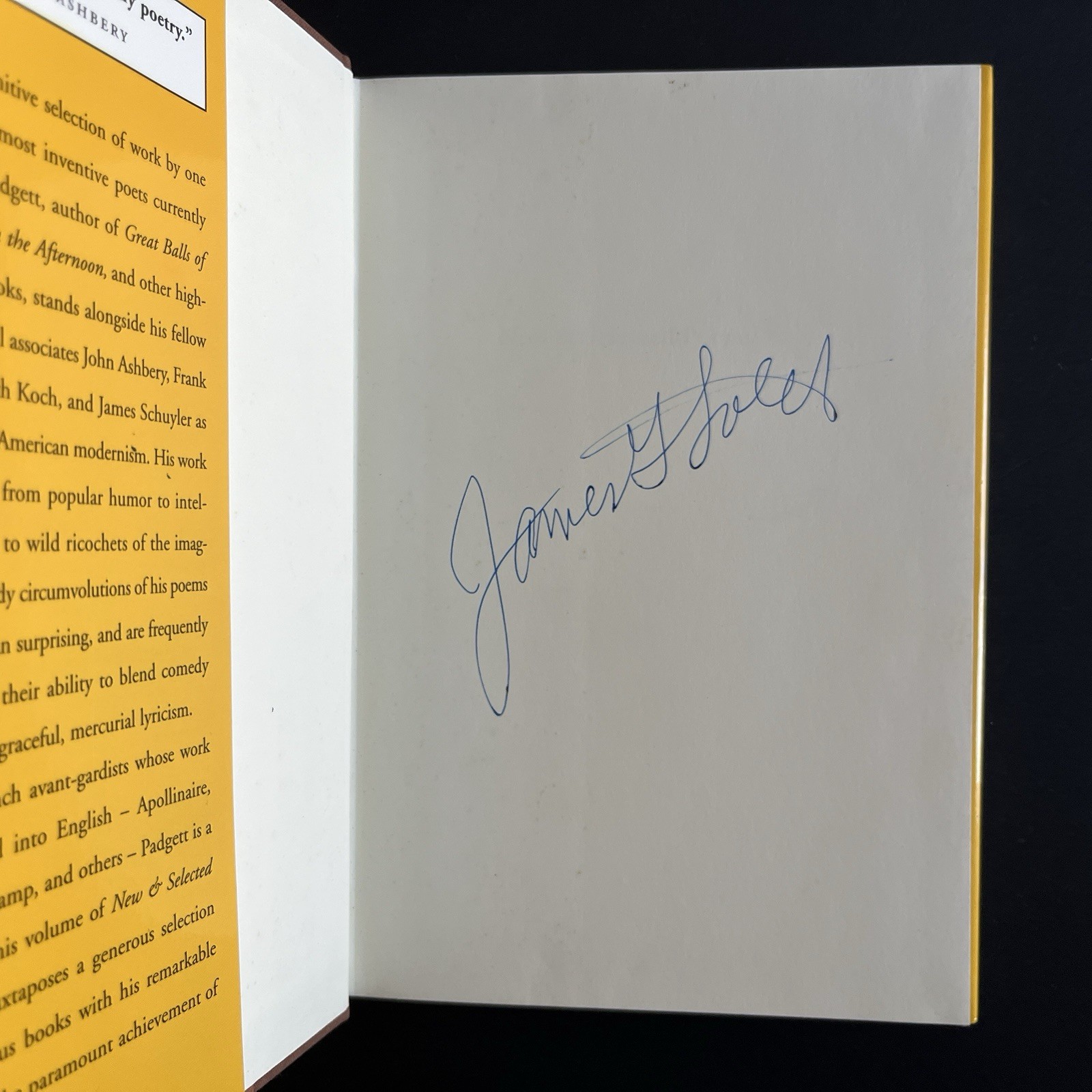 New and Selected Poems by Ron Padgett 1995 First Edition 1st HC Joe Brainard DJ