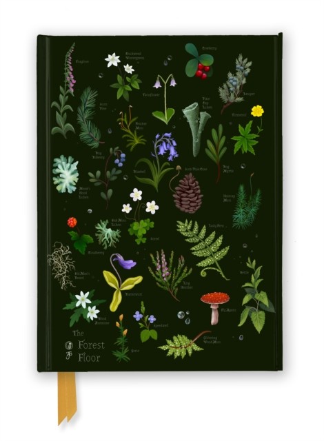 Anna Stead The Forest Floor - Image 7