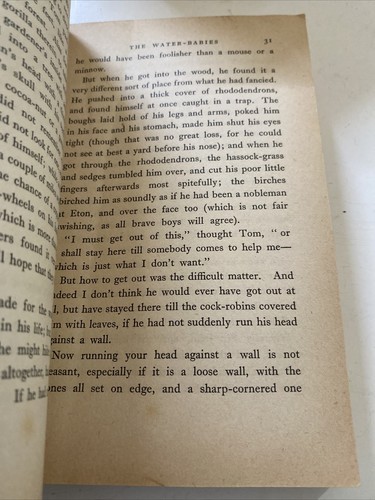 Libro de bolsillo de The Water Babies Charles Kingsley Biblioteca Martyn - Imagen 5 de 9