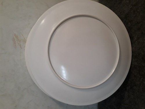 Vtg. MCM Set of 7 Melamine 9" Dinner Plates w/ Dark Pink Roses w/ Green Leaves - Picture 12 of 13