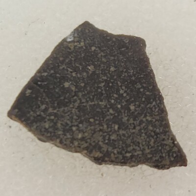 Unidentified Dinosaur Egg Shell Fossil (Orodromeus?) - Two Medicine Fm. - MT
