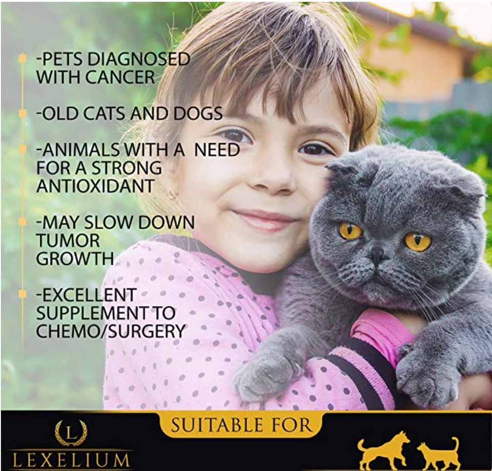 Apoyo contra el cáncer para perros y gatos | Diseñado para extender y mejorar la calidad de vida Foto 3 de 4