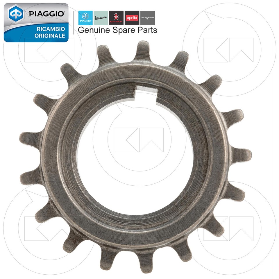 Pignon De Distribution VVT échappement Pour Ford Focus 1.0L (2015-2018) - Pièce Neuve