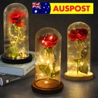 Rose in Glass Dome Eternal Flower LED Enchant Valentine's Day Wedding Decor Gift