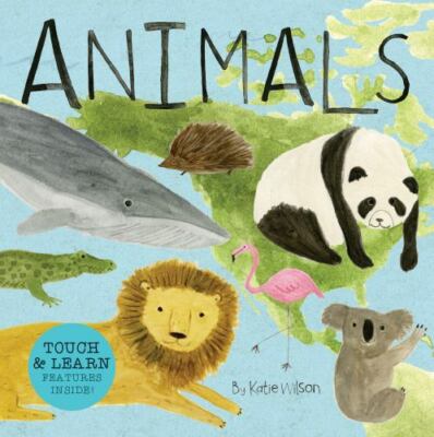 Animals: Touch, Listen, & Learn Features Inside! (Discovery Concepts)  board_bo