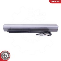 Esen SKV Elektromotor, Heckklappe Hinten, Links, Rechts FüR Land Rover
