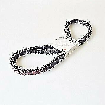 73740251B COPPIA CINGHIE DISTRIBUZIONE ORIGINALI DUCATI SUPERBIKE 1198 R 2010