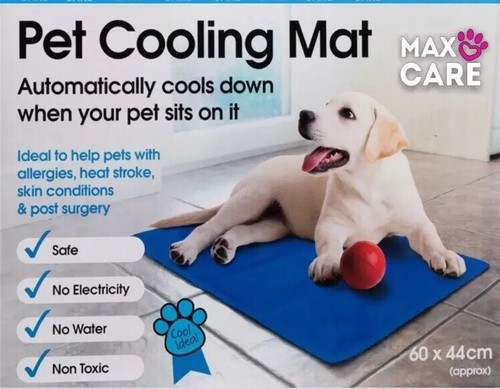 chilli paws cooling collar