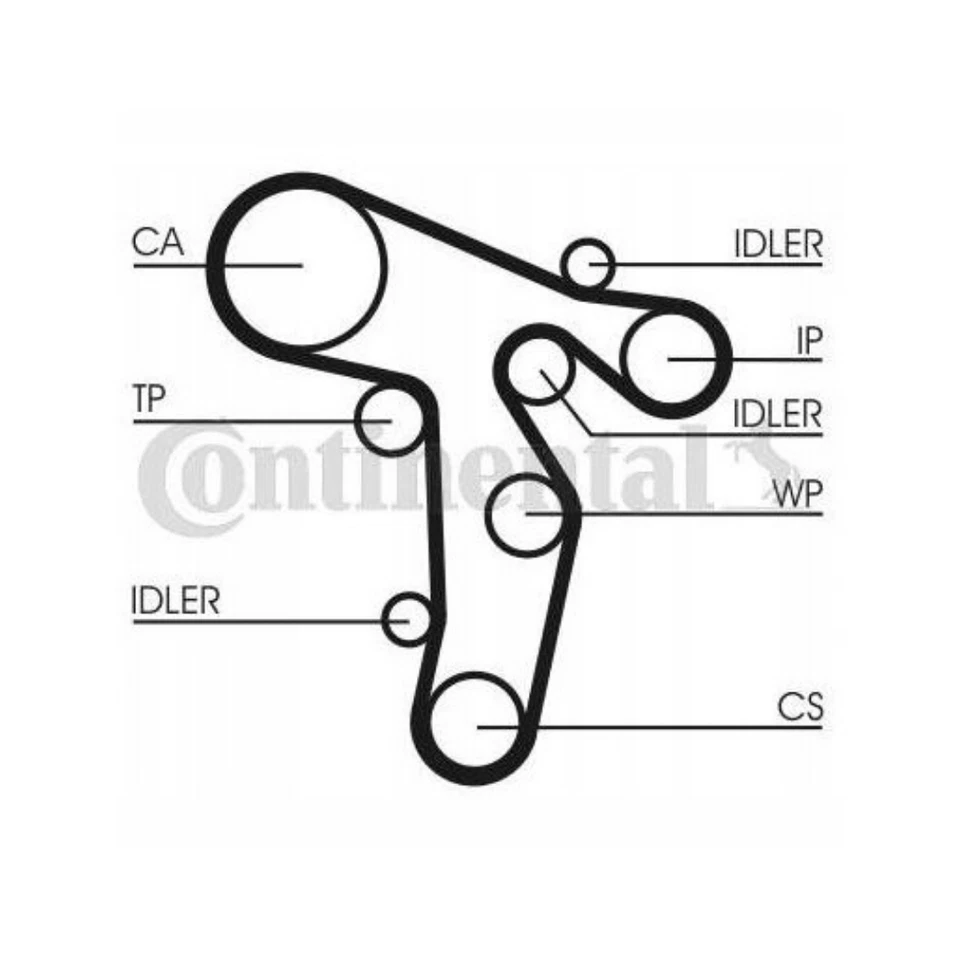 100% Conti CT1139WP6 Zahnriemensatz  Wasserpumpe für Audi VW Skoda Seat Golf VI - Bild 2 von 4